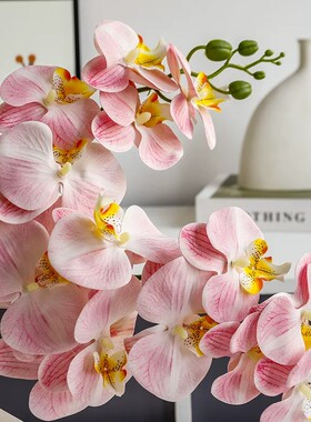 淡雅蝴蝶兰仿真花客厅餐桌花假花摆设高档插花装饰花艺摆件