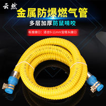 Home gas pipe gas pipe gas pipe gas pipe gas stove pipe water heater connected metal hose