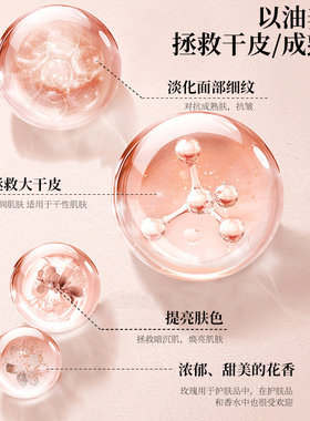 玫瑰精油抗皱紧致润肤按摩精油