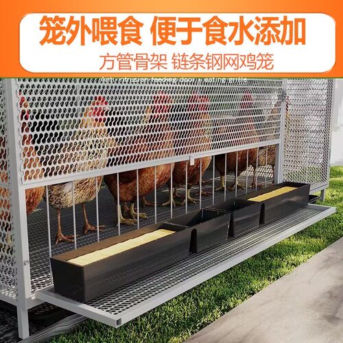 鸡笼子家用室外特大号防黄鼠狼密网防雨农村鸡笼子自动清粪养殖笼 - 图2