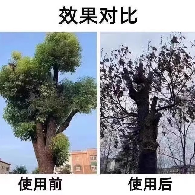 灭树粉烂根粉剂强力除树烂根灭树根的专用药烂树根药特效专用针剂 - 图3