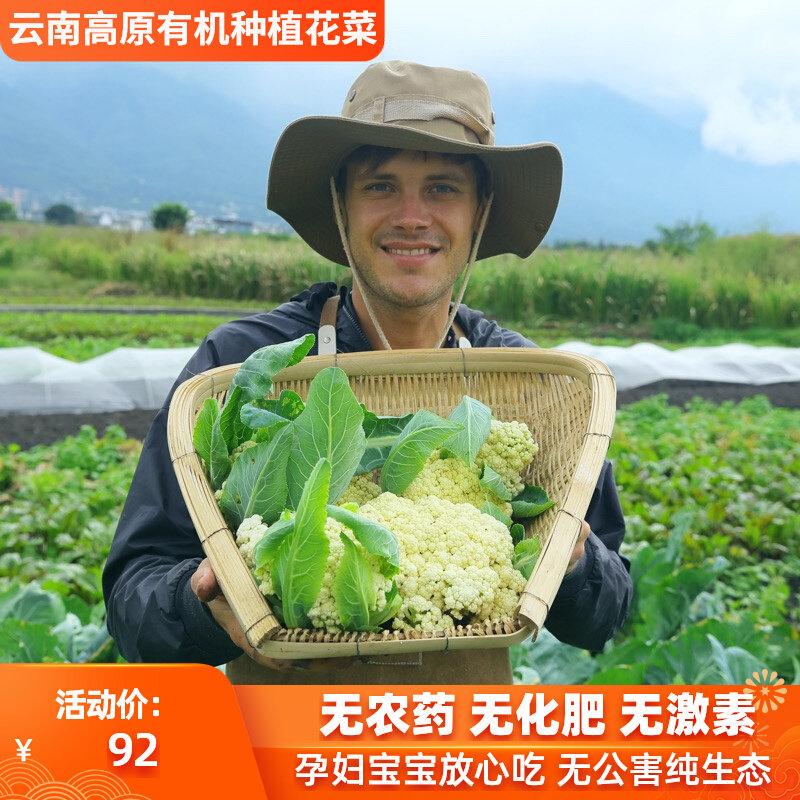 种植花椰菜 新人首单立减十元 22年10月 淘宝海外