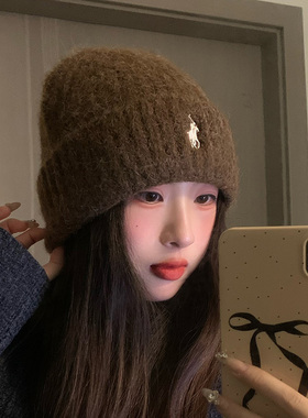 帽子女2025新款刺绣小马毛线帽秋冬季休闲百搭针织帽保暖包头冷帽