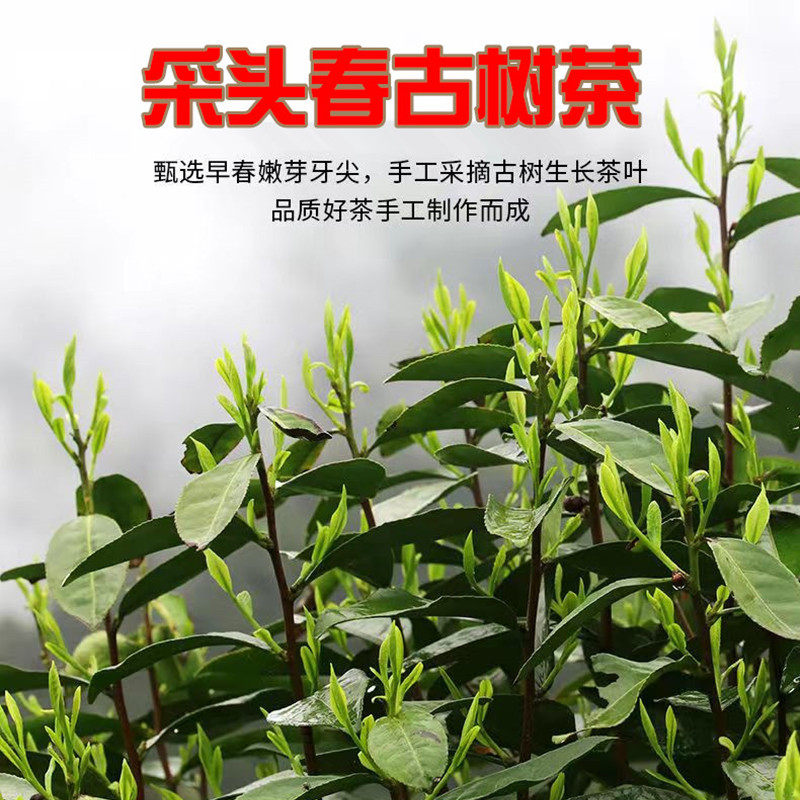 正宗滇红金针2022高端古树滇红茶 红云名典茶叶滇红