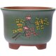 Yixing purple sand succulent flower pot large diameter Phalaenopsis