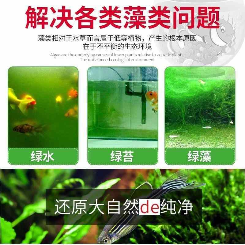 魚缸綠苔 Top 300件魚缸綠苔 23年1月更新 Taobao