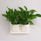 Simple and fashionable plastic water-absorbent flowerpots factory direct sales