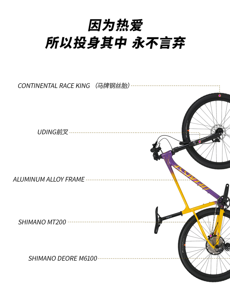 2024年德国DELAISSE SLR越野变速29寸山地车自行车男12速油压碟刹 - 图3