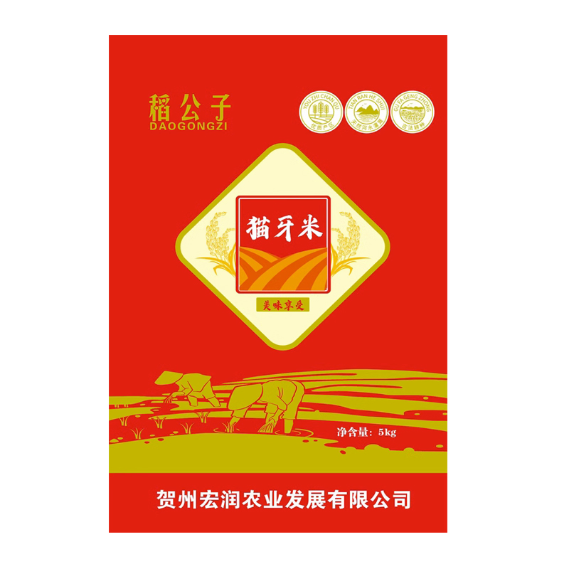 2023年新米正宗猫牙米晚稻丝苗超长粒香米大米5斤10煲仔饭蛋炒饭 - 图2