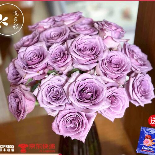 悦多彩AB级玫瑰花顺丰包邮单头玫瑰花情人节云南直发水养鲜切花 - 图2