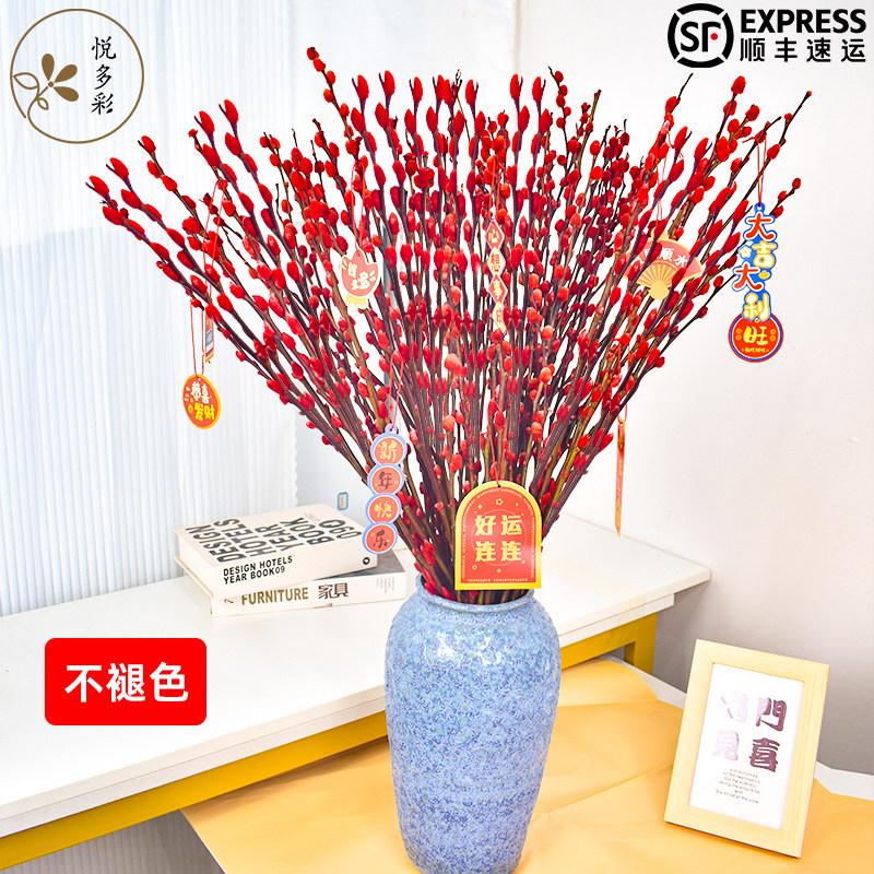 �ö�� A�������滨��֦20֦+5���Ҽ�    9.99Ԫ(����ȯ)