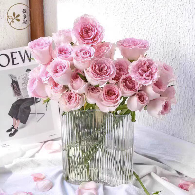 悦多彩AB级多头玫瑰花 昆明直发顺丰包邮 情人节礼物水养插鲜切花