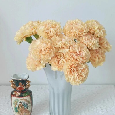 悦多彩云南直发康乃馨鲜切花束