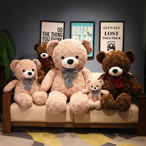 Teddy Bear Paparazzi Doll Plush Toy Panda Cloth Doll Girl Girl Send Girlfriend Birthday Gift Big Number Hug Hug