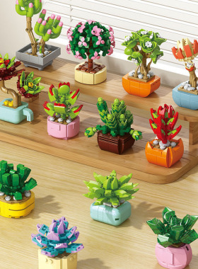 创意满满多肉积木盆栽摆件