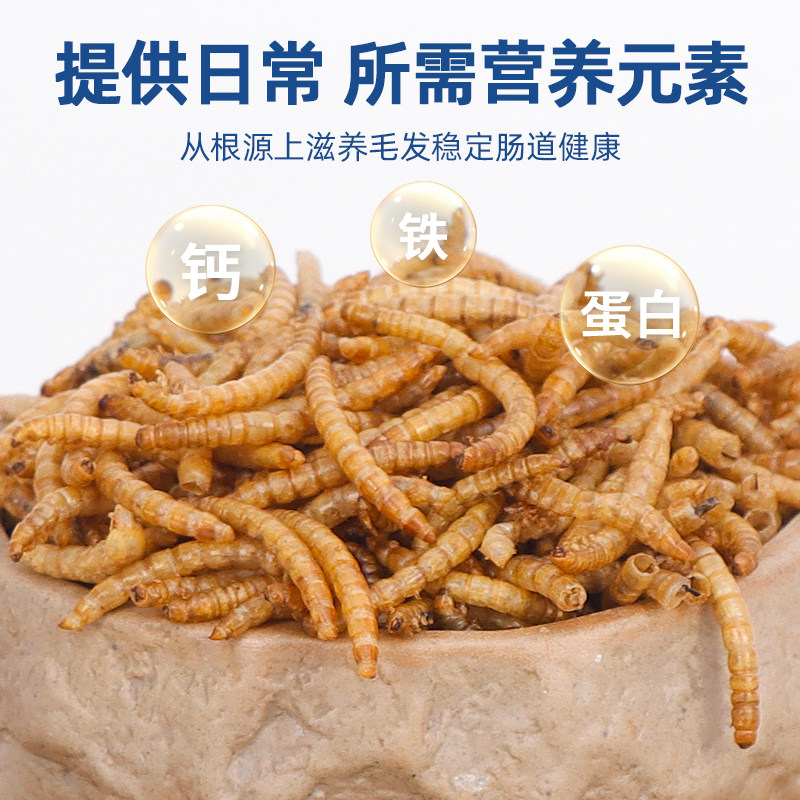 仓鼠粮食零食面包虫干黄粉虫干金丝熊孕期营养零食大礼包刺猬食物,淘宝优惠券,粉丝福利购,淘宝优惠卷