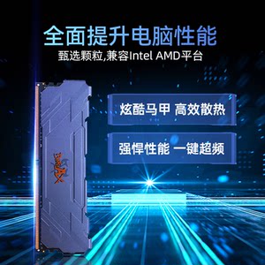七彩虹内存条DDR4 8G 16G 3200 4000普条战斧台式电脑马甲内存条