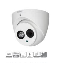 Dahua International English English DH-HAC-HDW1200EMP-A1080P A1080P 2MP built-in audio spot