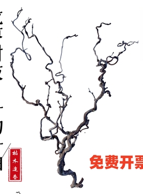 天然龙枣干枝弯曲龙爪插花家居禅意树枝客厅店铺民宿侘寂艺术装饰
