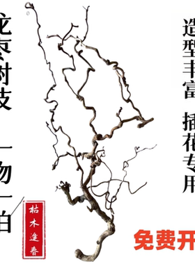 天然龙枣干枝弯曲龙爪插花家居禅意树枝客厅店铺民宿侘寂艺术装饰