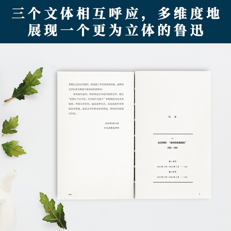 究竟是青春：鲁迅的留日七年：1902-1909 姜异新著 鲁迅日本留学资料人物传记文学研究 河北教育出版社 - 图2