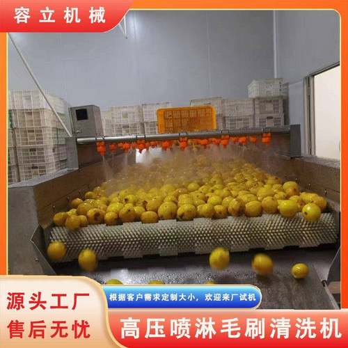 马蹄平行毛刷清洗机 辊刷式百香果柠檬橙子清洗去杂机 苹果打蜡机 - 图2