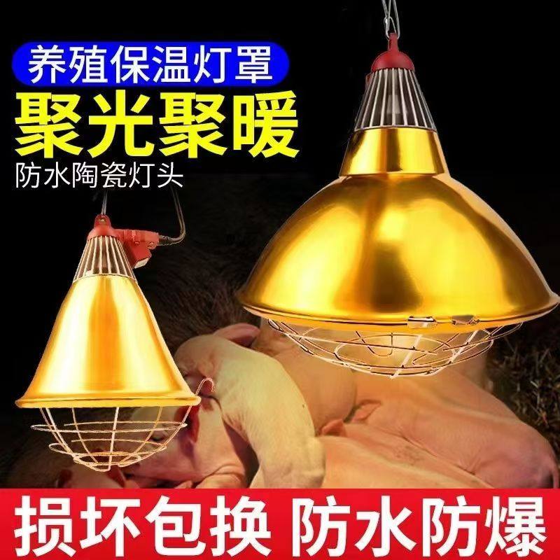 狗狗保暖灯母猪产床猪场保温灯罩养殖鸡鸭鹅取暖灯猪用仔猪加热灯,淘宝优惠券,粉丝福利购,淘宝优惠卷