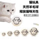 猫咪猎物球静音羊毛球玩具猫咪追逐自嗨解闷神器逗猫棒耐咬静音