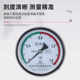 Boiler 0-1.6MPA steam Hangzhou pressure gauge Fuyang