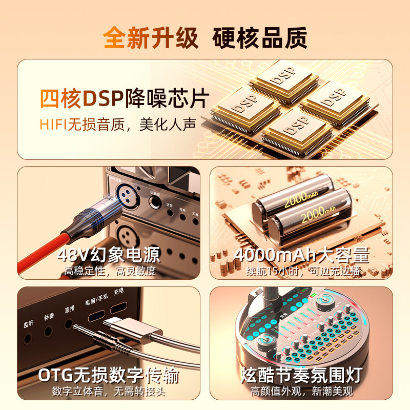  悍魅麦克风/话筒