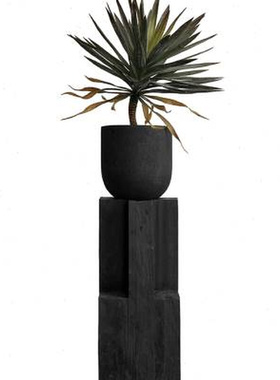 侘寂实木墩子雕塑摆台底座家居装饰花架碳化原木树桩摆件客厅落地