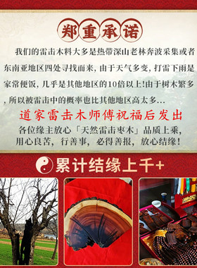 龙虎山辟道家法器邪玄门学正宗天然雷击木紫薇讳吊坠保真护身牌符