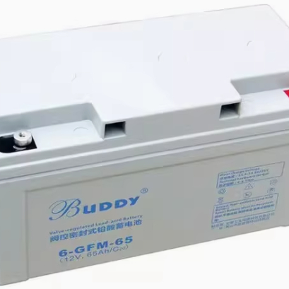 BUDDY宝迪蓄电池6-FM12V24AH38AH65AH100AH直流屏EPSUPS电源消防 - 图2