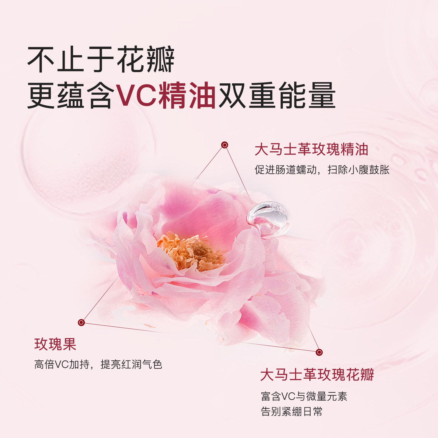 ECOMAAT伊可茉美颜茶大马士革玫瑰花茶养颜养生茶养身花茶粉罐装