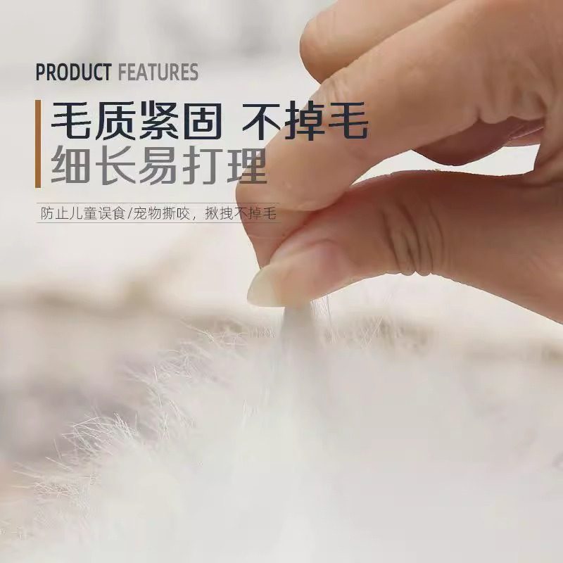 卧室免打理地毯新款儿童阳台主卧茶几沙发地垫毯毯抓风出租房毯子,淘宝优惠券,粉丝福利购,淘宝优惠卷