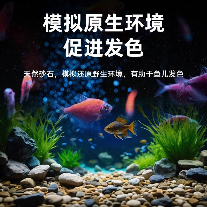 鱼缸溪流石专用养鱼铺底造景宠物摆设水陆乌龟躲避装饰套装沙头虾,淘宝优惠券,粉丝福利购,淘宝优惠卷