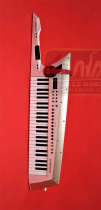 Roland Shoulder Back Type Keyboard Rental Roland AX-Edge Rental Shanghai Shoulder Back Synthesizer Rental