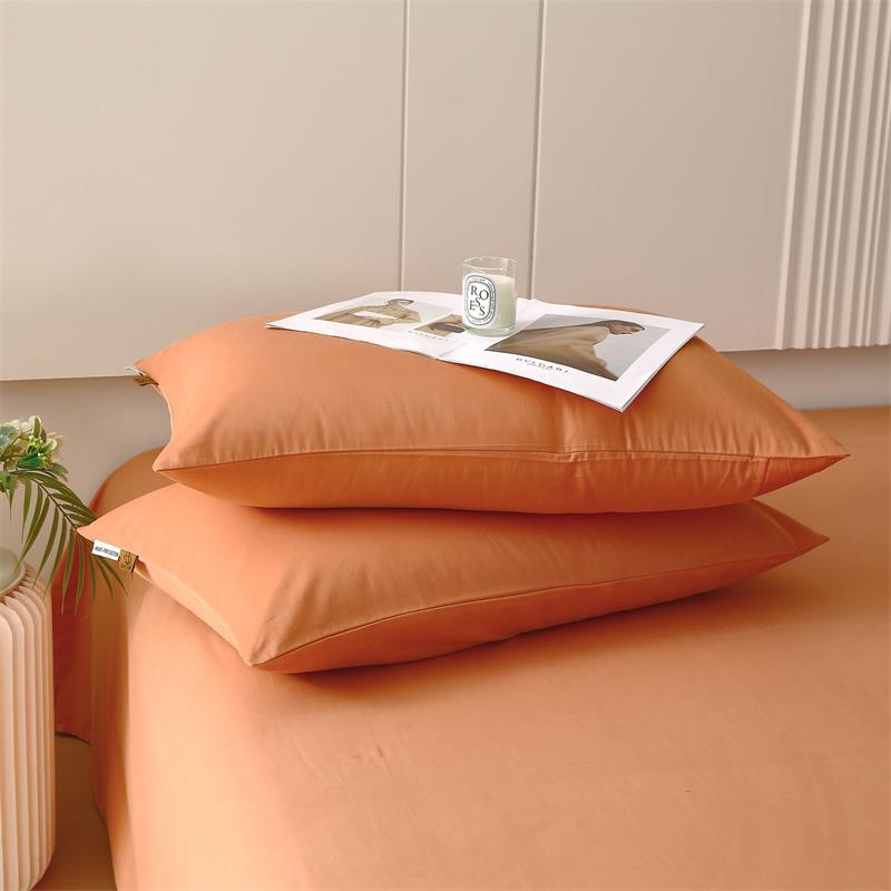 A类纯色加厚磨毛纯棉枕套一对装全棉枕头套家用48x74cm枕芯内胆套 - 图1