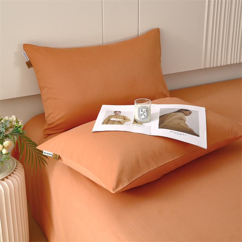 A类纯色加厚磨毛纯棉枕套一对装全棉枕头套家用48x74cm枕芯内胆套 - 图0