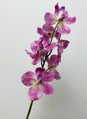 高品质仿真花手感保湿单枝千代兰家居装饰品插花摆放婚庆花材清新
