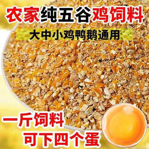 【抢】玉米粒碎喂 鸡饲料蛋鸡全价料鸡鸭鹅鹌鹑100斤鸡食 - 图0