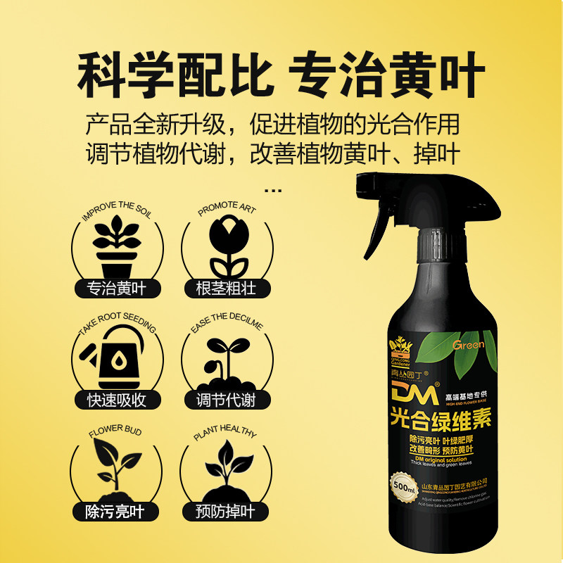 青丛园丁光合绿维素除污靓叶预防黄叶黑叶花卉绿植园艺直喷型,淘宝优惠券,粉丝福利购,淘宝优惠卷