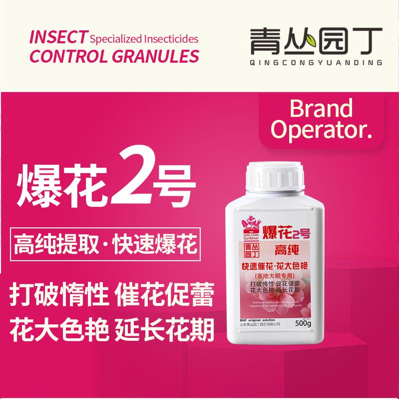 青丛园丁爆花粉2号开花促进花芽分化快速开花花大色艳开花粉通用 - 图2