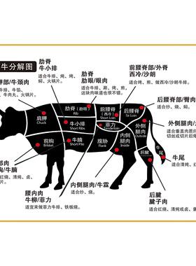 牛肉分割分解部位图牛排装饰壁画牛杂汤粉面馆火锅店自粘墙贴壁纸