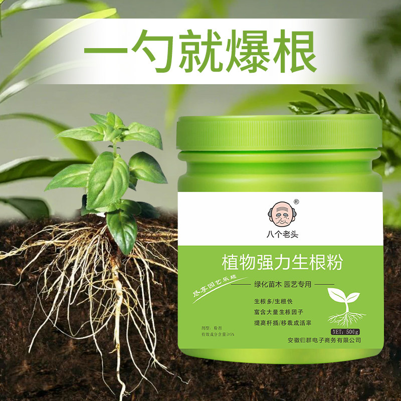 八个老头强力生根粉剂植物通用营养液多肉绿萝花卉扦插壮苗粉剂,淘宝优惠券,粉丝福利购,淘宝优惠卷