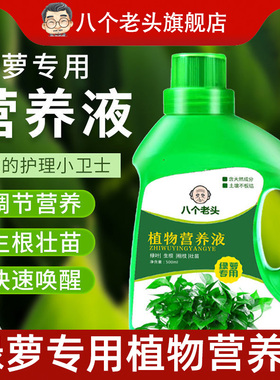 八个老头绿萝专用植物营养液家庭园艺浓缩营养液养分均衡促进吸收