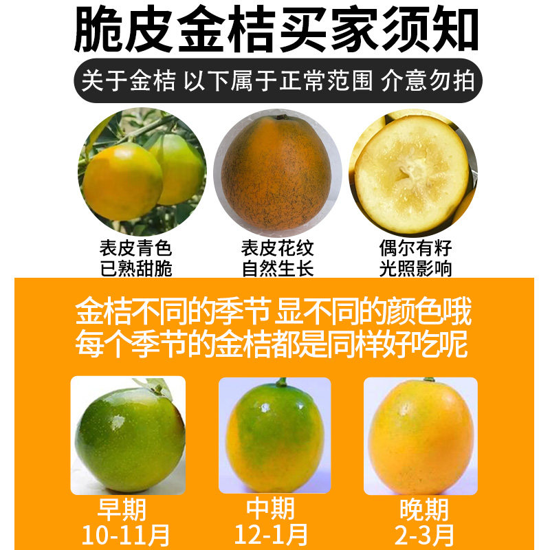 广西融安脆皮金桔鲜果10小金橘子斤新鲜水果应当季蜜金柑整箱包邮