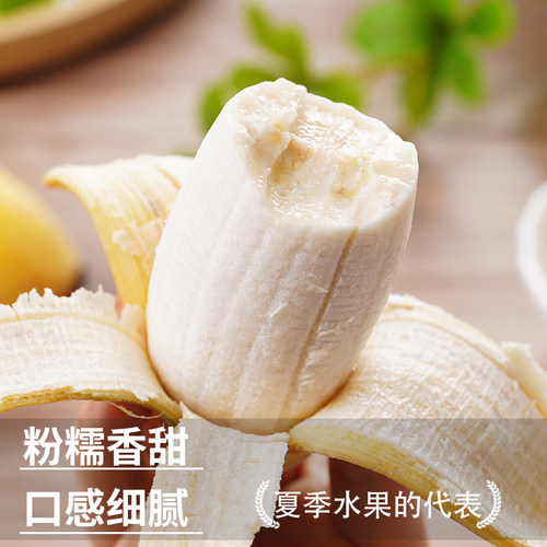 正宗广西小米蕉香蕉新鲜水果当季整箱苹果蕉自然熟甜小芭蕉粉蕉绿 - 图1
