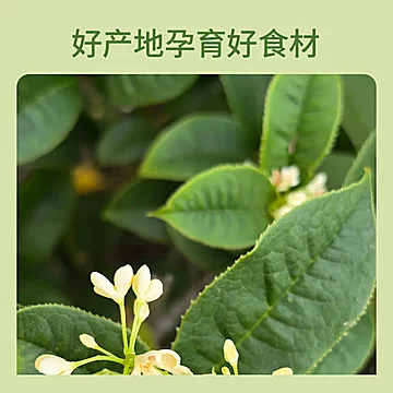 味满分广西月桂叶30g袋装卤料火锅川菜调料[3元优惠券]-寻折猪