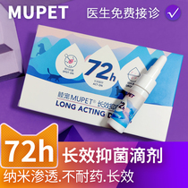 Muttering MUPET Drop Fungal Cat Ringworm Black Chin Seatopic Dermatitis Kitty Dogs Eczema Pussy